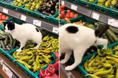 3 harfli markette hijyen skandalı