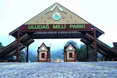 Bursa Su Kolektifi ve Genç Çevrecilerden Milli Parklar Kanunu tepkisi!