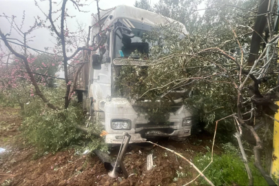 Bursa'da yağışlı havada kamyon zeytinliğe daldı!