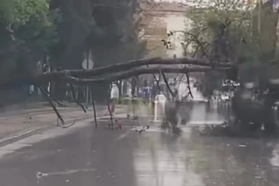 Bursa'da korku dolu anlar! Devrilen ağaç yolu kapattı