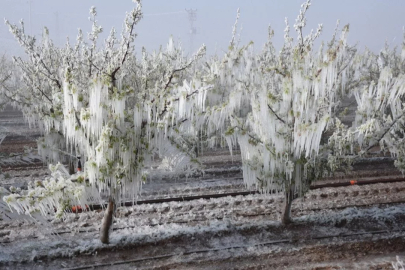Bursa Valiliği'nden son dakika uyarısı!