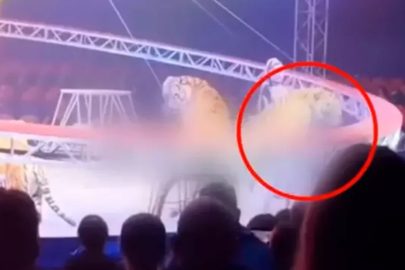 Sirkte korku dolu anlar! Güvenlik ağı çöktü, seyircilerinin arasına daldı...