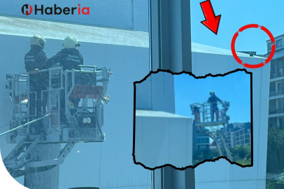 Bursa'da nefeslerin tutulduğu kedi operasyonu!